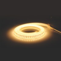 LED dây DUHAL ánh sáng vàng - 1 dòng LED 6W/M LDV02