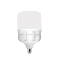 Đèn LED Bulb Điện Quang 50W ĐQ LEDBU10 50