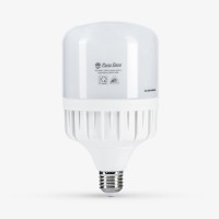 Bóng đèn LED Bulb trụ nhôm nhựa TR100N1 30W TR100N1/30W.H