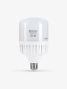 Bóng đèn LED Bulb trụ nhôm nhựa TR100N1 30W TR100N1/30W.H