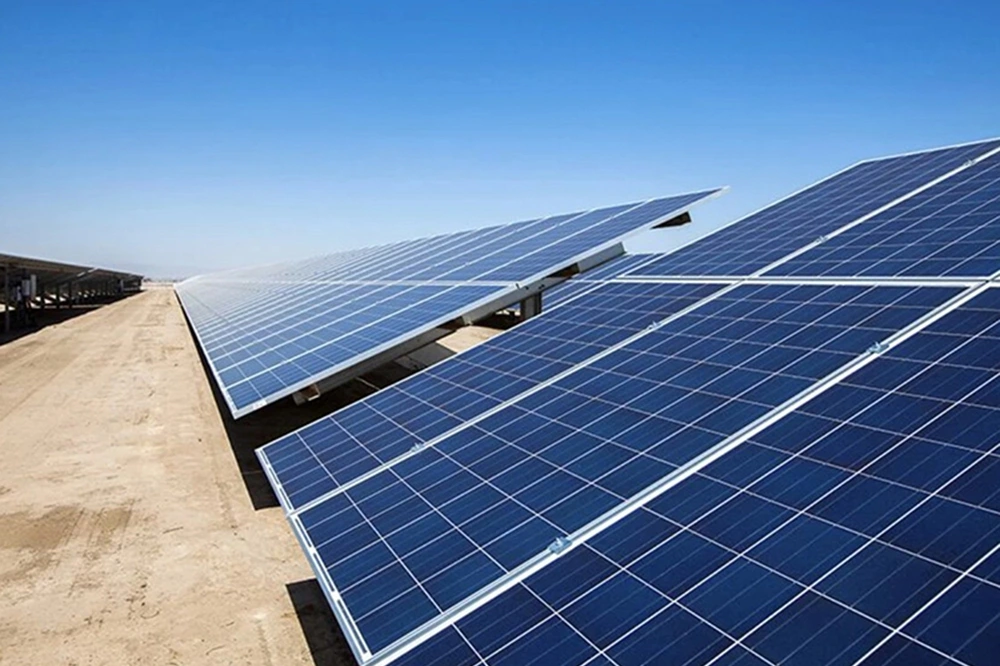 Dịch vụ chuyên nghiệp tại life techgrow