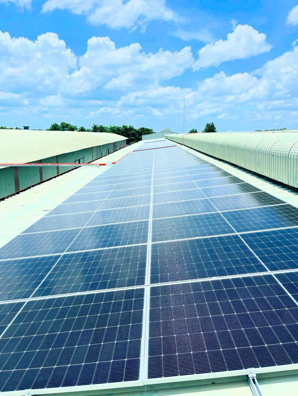 Quy trình lắp đặt Điện mặt trời gia đình với LIFE TECHGROW