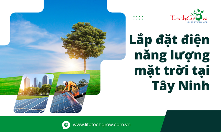 Lắp Đặt Điện Năng Lượng Mặt Trời Tại Tây Ninh tại life techgrow