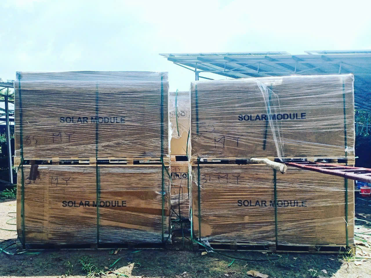 Liên Hệ Life Techgrow Để Được Tư Vấn Miễn Phí