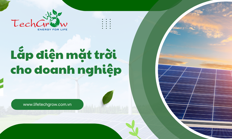 Lắp Điện Mặt Trời Cho Doanh Nghiệp tại life techgrow