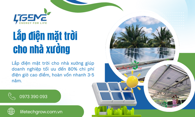 Lắp điện mặt trời cho nhà xưởng: Giải pháp xanh tối ưu chi phí vận hành