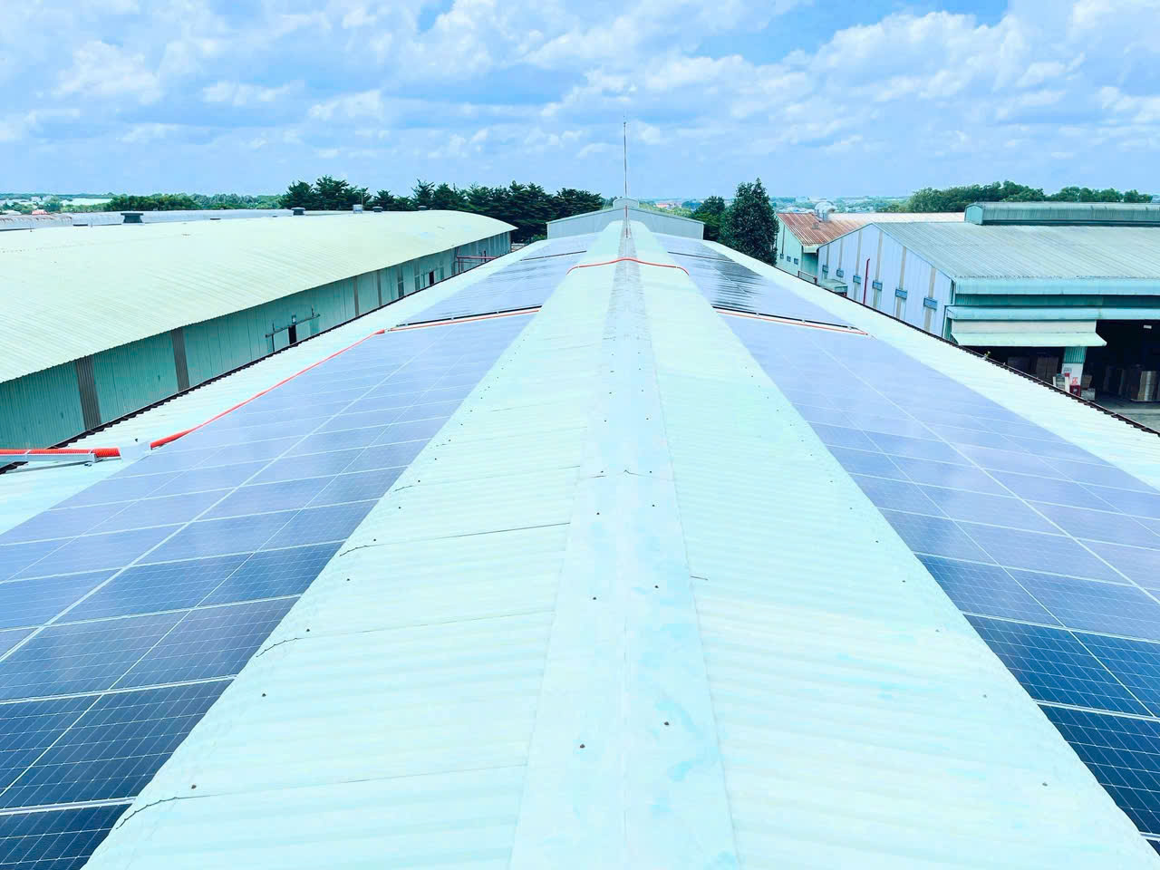 Tại sao nên chọn LIFE TECHGROW?