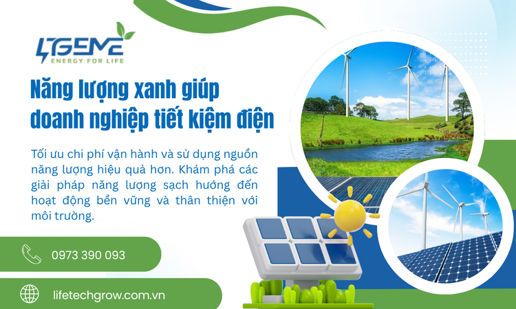 Năng lượng xanh giúp doanh nghiệp tiết kiệm điện