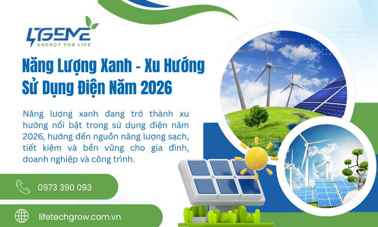 Năng Lượng Xanh – Xu Hướng Sử Dụng Điện Năm 2026