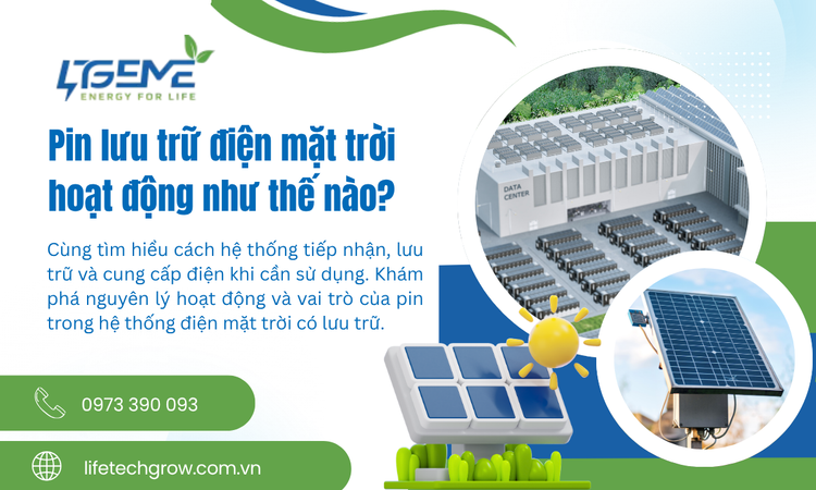 Pin Lưu Trữ Điện Mặt Trời Hoạt Động Như Thế Nào? – Nguyên Lý Và Cách Vận Hành