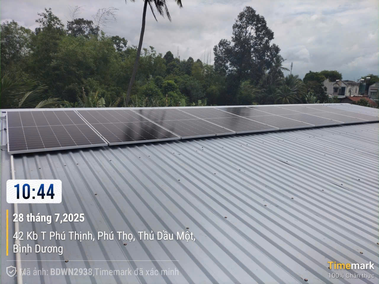 Hướng Dẫn Chi Tiết Cách Tính Công Suất Điện Mặt Trời Cho Hộ Gia Đình tại life techgrow